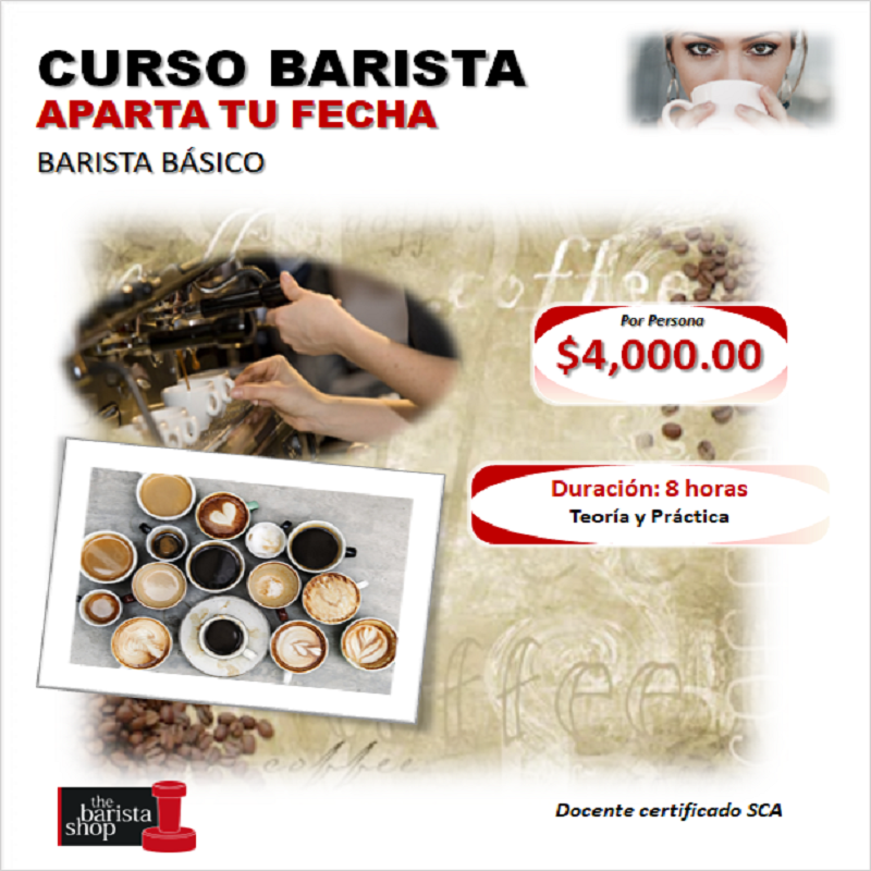 CURSO DE BARISTA BÁSICO - BARISTA SHOP | CAFETERAS INDUSTRIALES | Todo para  tu Cafetería