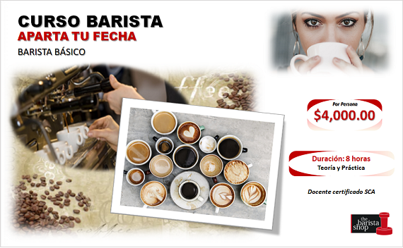 Cafetera Profesional Barista Usando Café Sifón Elaboración Café Expreso  Caliente En Coffee Shop. Imagen de archivo - Imagen de cafetera, mano:  212001529