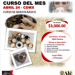 Curso barista básico Abril 24