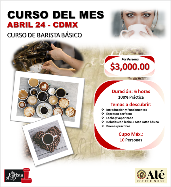 Curso barista básico Abril 24